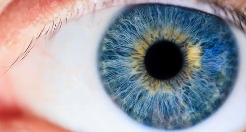 online exams recalled adult pediatric eyecare local eye doctor near you