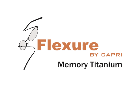 logo flexure frames